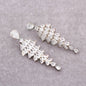 Luxury Cubic Zirconia Drop Earrings