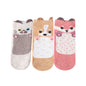 3 COLOR ASSORTED SOCKS